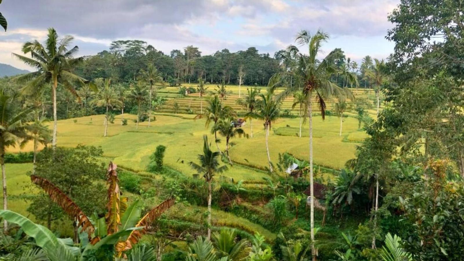 Pondok Sapta Sallaca Selat Exterior foto